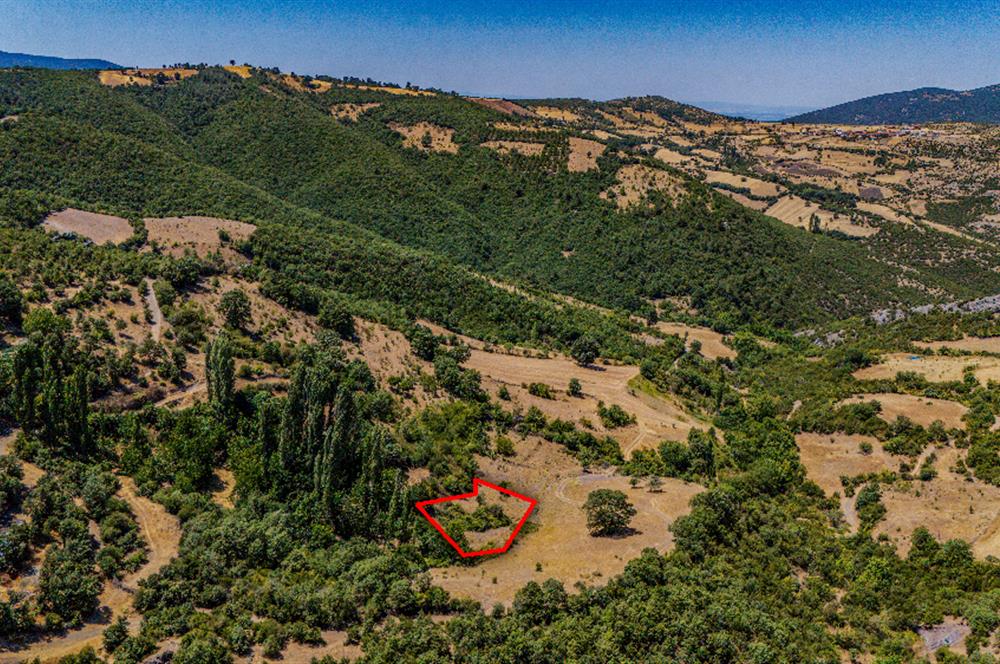 C21 LOCA'DAN KEPSUT SAYACIK MAHALLESİNDE 1523,50M2 SATILIK TARLA