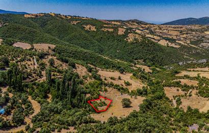 C21 LOCA'DAN KEPSUT SAYACIK MAHALLESİNDE 1523,50M2 SATILIK TARLA