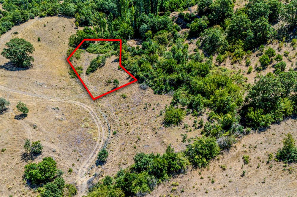C21 LOCA'DAN KEPSUT SAYACIK MAHALLESİNDE 1523,50M2 SATILIK TARLA