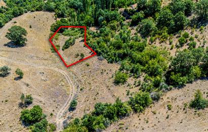 C21 LOCA'DAN KEPSUT SAYACIK MAHALLESİNDE 1523,50M2 SATILIK TARLA