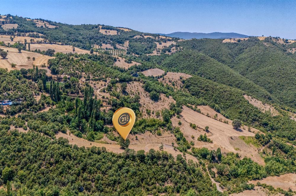 C21 LOCA'DAN KEPSUT SAYACIK MAHALLESİNDE 1523,50M2 SATILIK TARLA