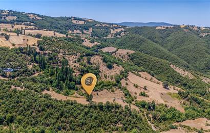 C21 LOCA'DAN KEPSUT SAYACIK MAHALLESİNDE 1523,50M2 SATILIK TARLA