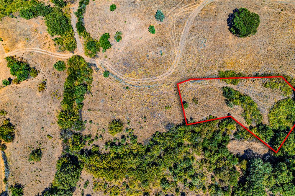C21 LOCA'DAN KEPSUT SAYACIK MAHALLESİNDE 1523,50M2 SATILIK TARLA