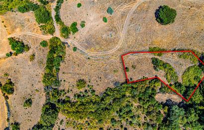C21 LOCA'DAN KEPSUT SAYACIK MAHALLESİNDE 1523,50M2 SATILIK TARLA