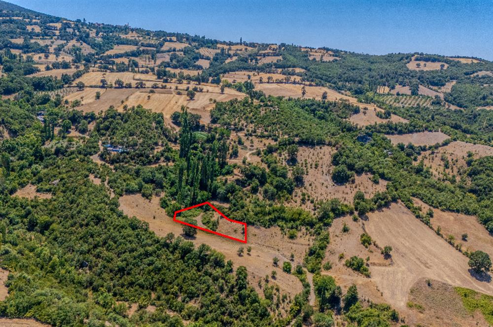 C21 LOCA'DAN KEPSUT SAYACIK MAHALLESİNDE 1523,50M2 SATILIK TARLA
