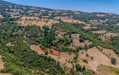 C21 LOCA'DAN KEPSUT SAYACIK MAHALLESİNDE 1523,50M2 SATILIK TARLA