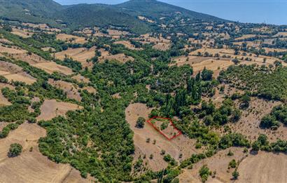 C21 LOCA'DAN KEPSUT SAYACIK MAHALLESİNDE 1523,50M2 SATILIK TARLA