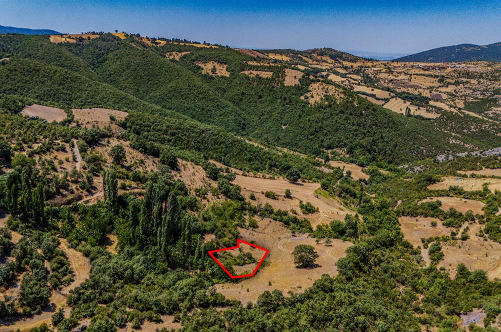 C21 LOCA'DAN KEPSUT SAYACIK MAHALLESİNDE 1523,50M2 SATILIK TARLA
