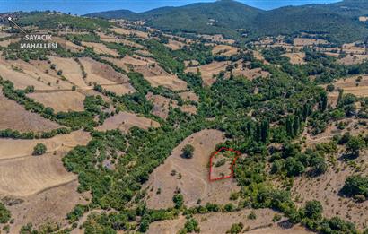 C21 LOCA'DAN KEPSUT SAYACIK MAHALLESİNDE 1523,50M2 SATILIK TARLA