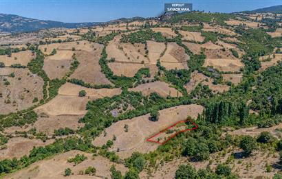 C21 LOCA'DAN KEPSUT SAYACIK MAHALLESİNDE 1523,50M2 SATILIK TARLA