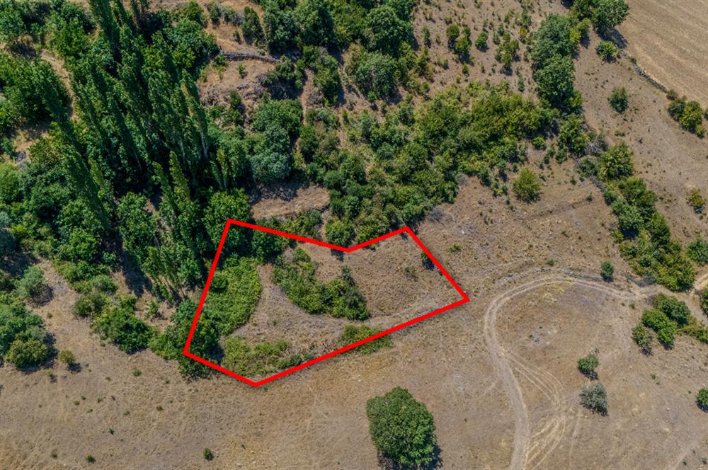 C21 LOCA'DAN KEPSUT SAYACIK MAHALLESİNDE 1523,50M2 SATILIK TARLA