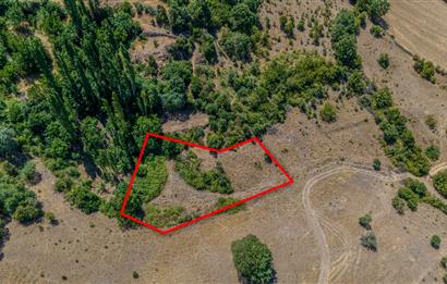 C21 LOCA'DAN KEPSUT SAYACIK MAHALLESİNDE 1523,50M2 SATILIK TARLA