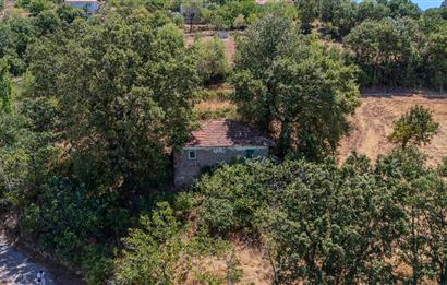 C21 LOCA'DAN KEPSUT SAYACIK MAHALLESİNDE 1229,11 M2 İMARLI ARSA