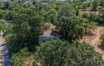 C21 LOCA'DAN KEPSUT SAYACIK MAHALLESİNDE 1229,11 M2 İMARLI ARSA