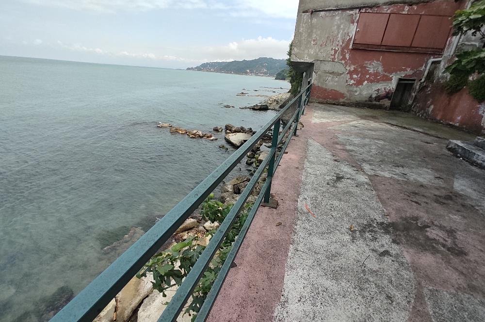 SEKTÖRDE NADİR, RIHTIMI BULUNAN RESTORAN, DENİZE SIFIR !!