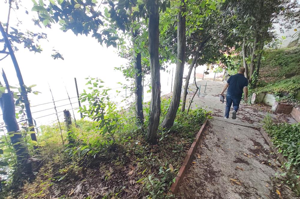 SEKTÖRDE NADİR, RIHTIMI BULUNAN RESTORAN, DENİZE SIFIR !!