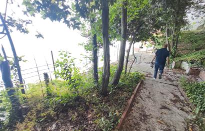 SEKTÖRDE NADİR, RIHTIMI BULUNAN RESTORAN, DENİZE SIFIR !!