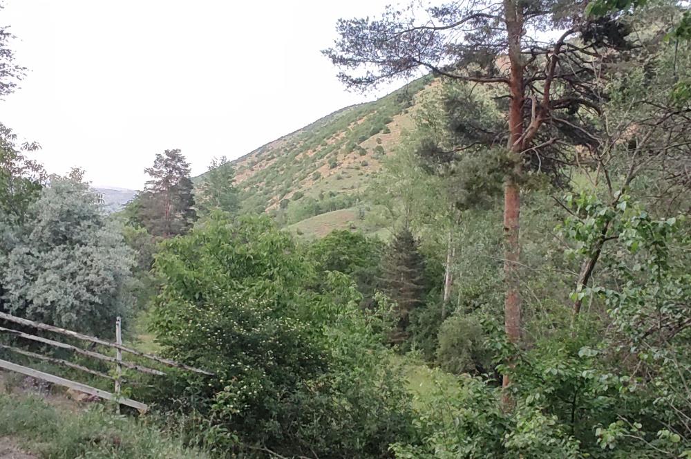 ÜNİVERSİTEYE 5600 METRE DOĞA İÇİNDE MÜSTAKİL AHŞAP&TAŞ KÖY EVİ!!