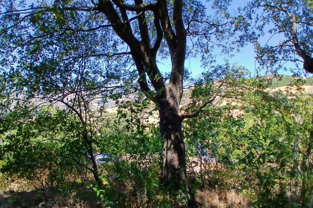 C21 LOCA'DAN KEPSUT SAYACIK MAHALLESİNDE 1229,11 M2 İMARLI ARSA