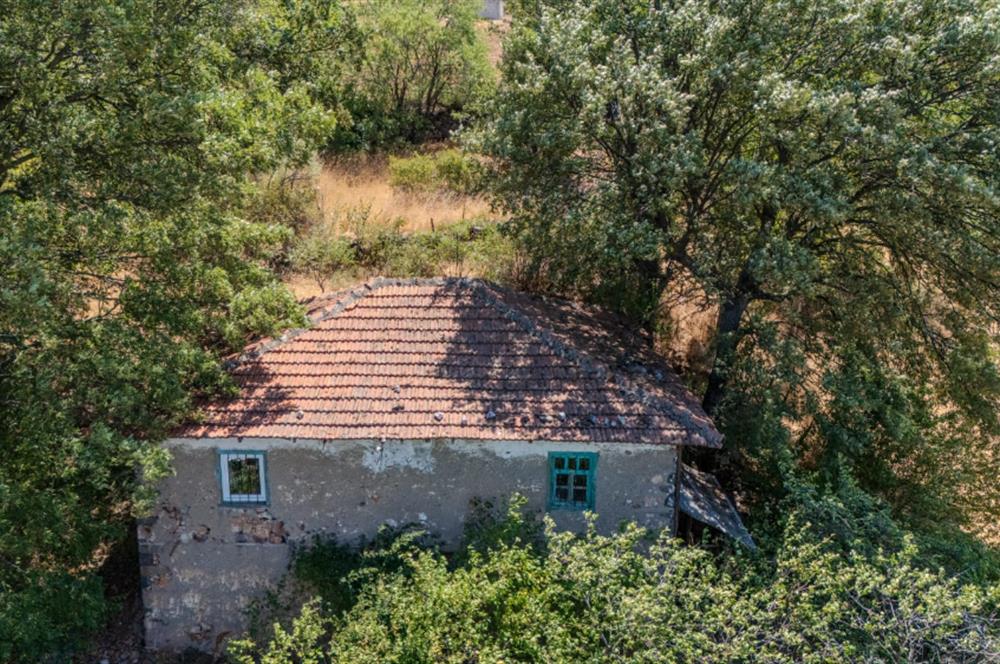 C21 LOCA'DAN KEPSUT SAYACIK MAHALLESİNDE 1229,11 M2 İMARLI ARSA