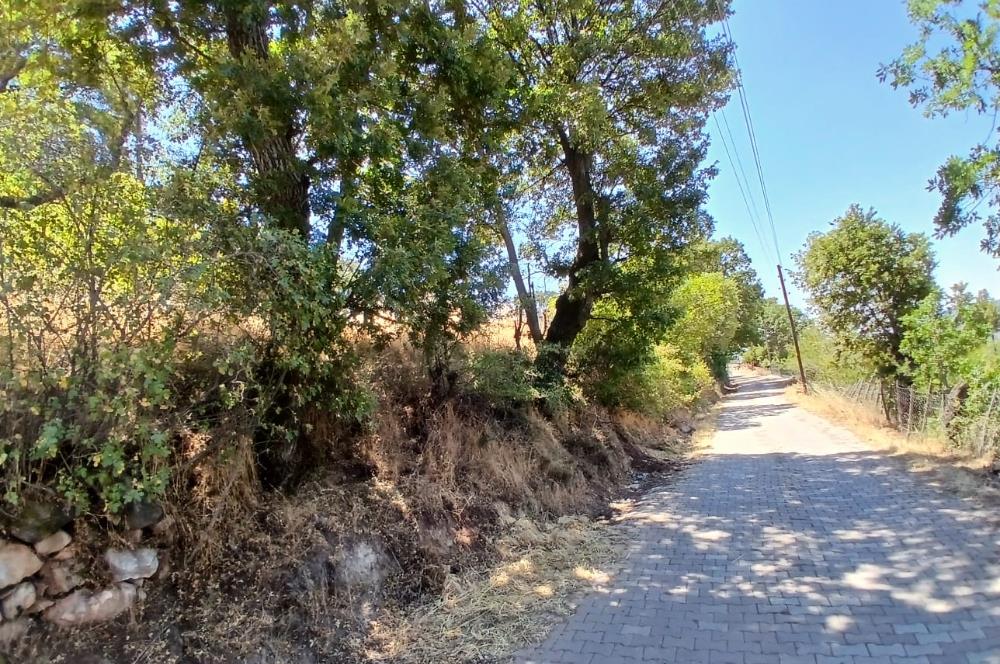 C21 LOCA'DAN KEPSUT SAYACIK MAHALLESİNDE 1229,11 M2 İMARLI ARSA