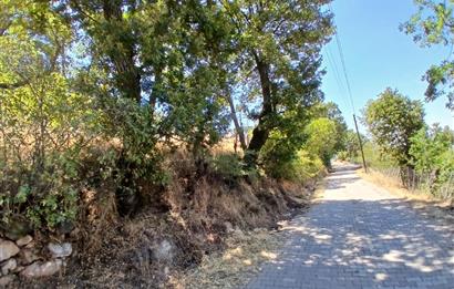 C21 LOCA'DAN KEPSUT SAYACIK MAHALLESİNDE 1229,11 M2 İMARLI ARSA