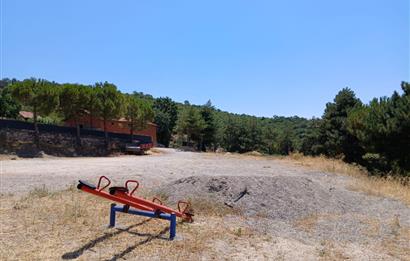 C21 LOCA'DAN KEPSUT SAYACIK MAHALLESİNDE 1229,11 M2 İMARLI ARSA