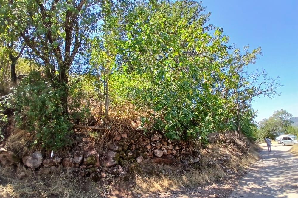 C21 LOCA'DAN KEPSUT SAYACIK MAHALLESİNDE 1229,11 M2 İMARLI ARSA