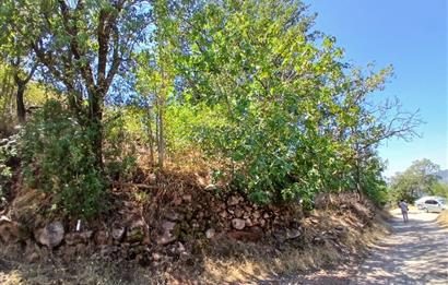 C21 LOCA'DAN KEPSUT SAYACIK MAHALLESİNDE 1229,11 M2 İMARLI ARSA