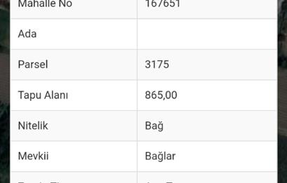 CENTURY 21. LOCA GAYRİMENKUL'DEN Balıkesir Manyasta Tarla