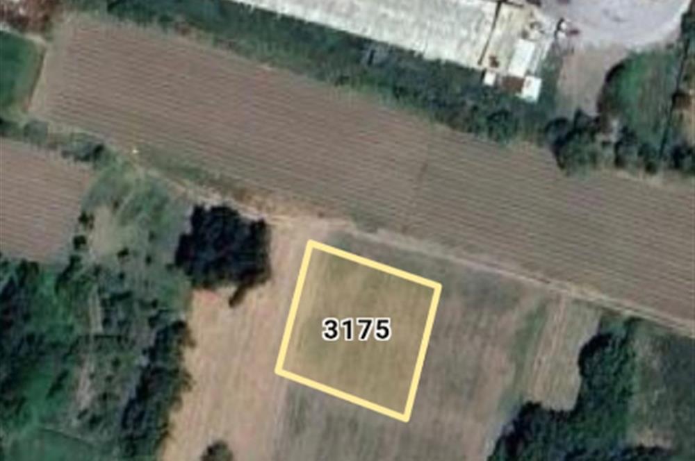 CENTURY 21. LOCA GAYRİMENKUL'DEN Balıkesir Manyasta Tarla