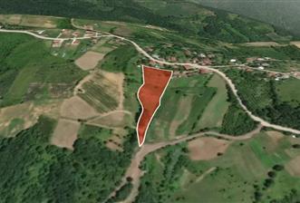 İZMİT ARPALIKİHSANİYE'DE TEK TAPU 7466 m2