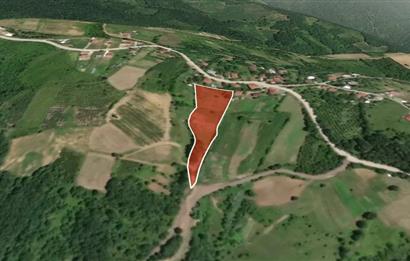 İZMİT ARPALIKİHSANİYE'DE TEK TAPU 7466 m2