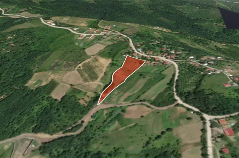 İZMİT ARPALIKİHSANİYE'DE TEK TAPU 7466 m2