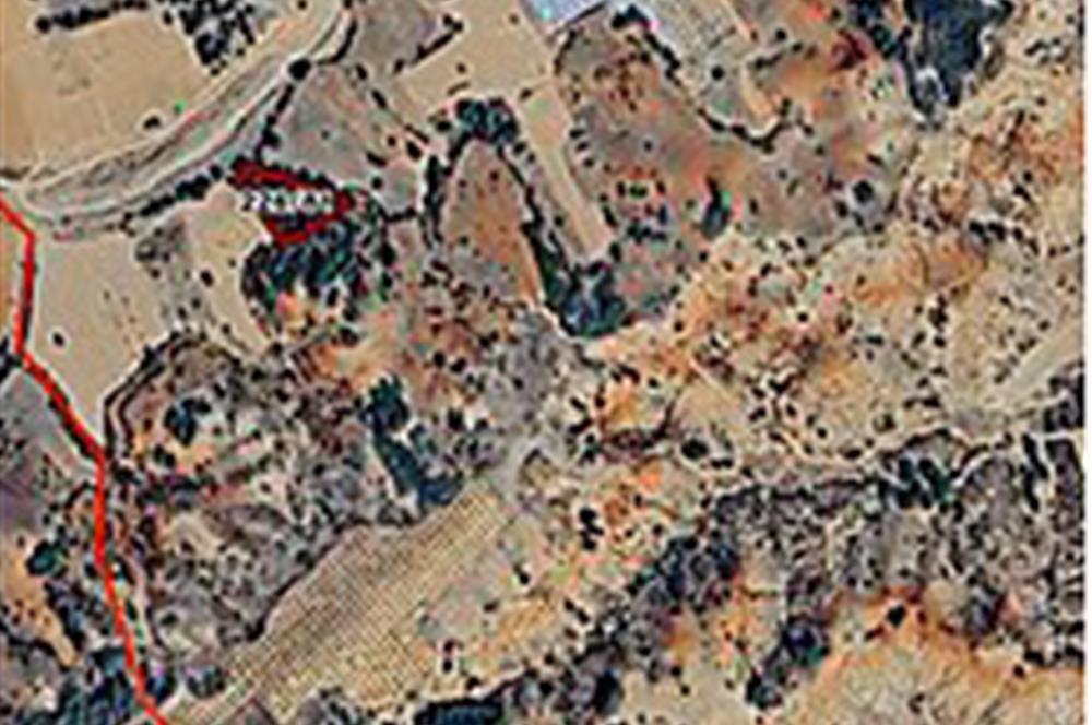 Çal Hançalar'da Satılık 6584 m2 Fırsat Arazi