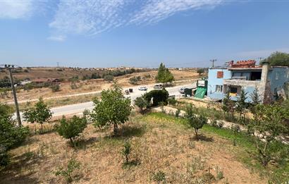 C21 BAL`DAN NAİPLİ MH. 1000M² İÇİNDE 2 KATLI SATILIK MÜSTAKİL EV