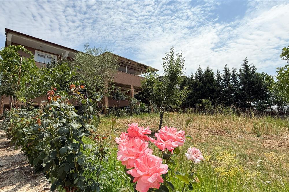 C21 BAL`DAN NAİPLİ MH. 1000M² İÇİNDE 2 KATLI SATILIK MÜSTAKİL EV