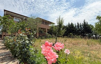 C21 BAL`DAN NAİPLİ MH. 1000M² İÇİNDE 2 KATLI SATILIK MÜSTAKİL EV