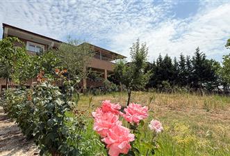 C21 BAL`DAN NAİPLİ MH. 1000M² İÇİNDE 2 KATLI SATILIK MÜSTAKİL EV