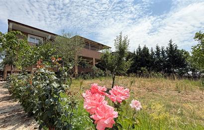 C21 BAL`DAN NAİPLİ MH. 1000M² İÇİNDE 2 KATLI SATILIK MÜSTAKİL EV