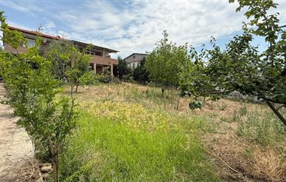 C21 BAL`DAN NAİPLİ MH. 1000M² İÇİNDE 2 KATLI SATILIK MÜSTAKİL EV
