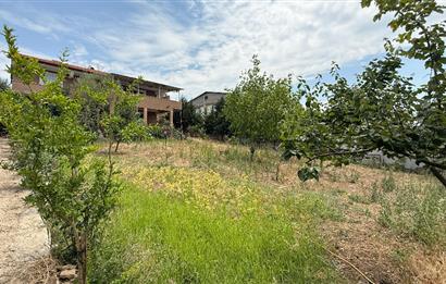 C21 BAL`DAN NAİPLİ MH. 1000M² İÇİNDE 2 KATLI SATILIK MÜSTAKİL EV