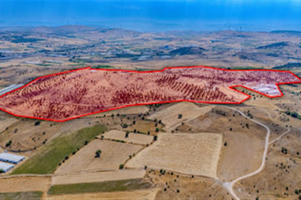 C21 LOCA'DAN BALIKESİR MERKEZDE BÜYÜKBAŞ HAYVAN ÇİFTLİĞİ