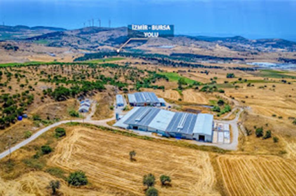 C21 LOCA'DAN BALIKESİR MERKEZDE BÜYÜKBAŞ HAYVAN ÇİFTLİĞİ