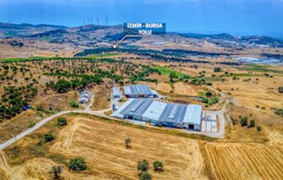 C21 LOCA'DAN BALIKESİR MERKEZDE BÜYÜKBAŞ HAYVAN ÇİFTLİĞİ