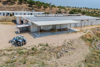 C21 LOCA'DAN BALIKESİR MERKEZDE BÜYÜKBAŞ HAYVAN ÇİFTLİĞİ