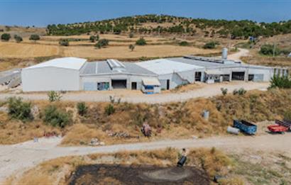C21 LOCA'DAN BALIKESİR MERKEZDE BÜYÜKBAŞ HAYVAN ÇİFTLİĞİ