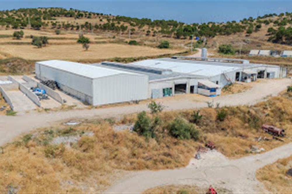 C21 LOCA'DAN BALIKESİR MERKEZDE BÜYÜKBAŞ HAYVAN ÇİFTLİĞİ