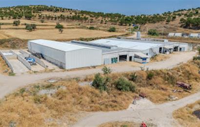 C21 LOCA'DAN BALIKESİR MERKEZDE BÜYÜKBAŞ HAYVAN ÇİFTLİĞİ
