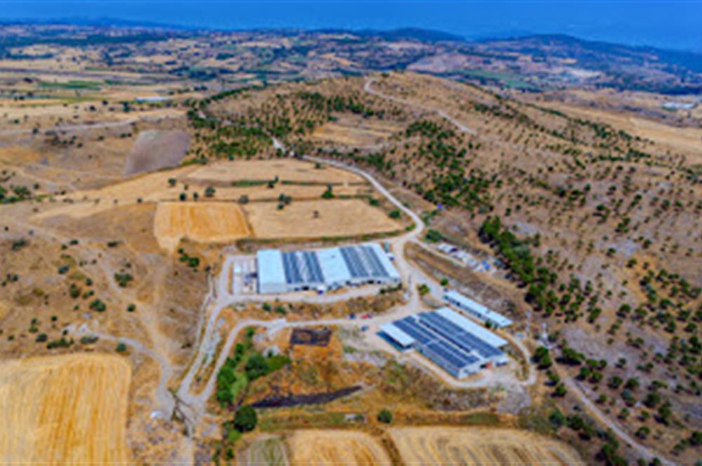 C21 LOCA'DAN BALIKESİR MERKEZDE BÜYÜKBAŞ HAYVAN ÇİFTLİĞİ